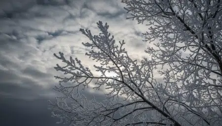 Météo : une chute brutale de 10°C s'abat sur la France dès mardi — certaines régions redoutent le retour du gel