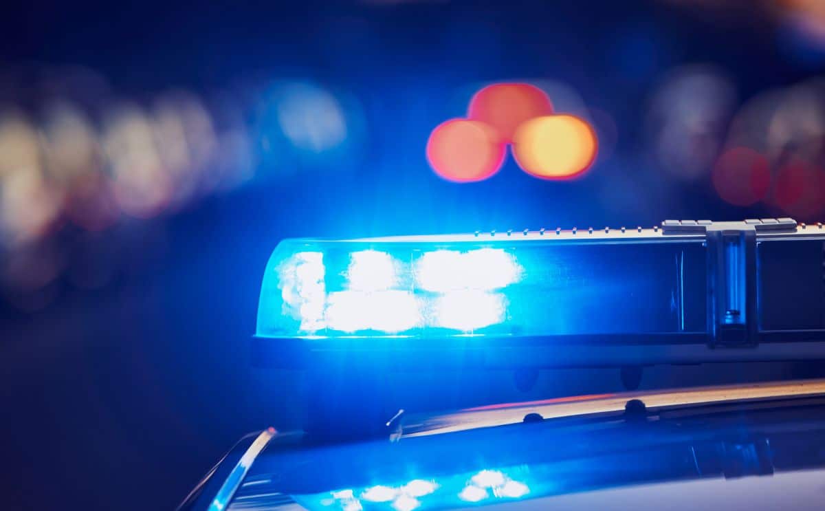 police meurtre mère marteau actu