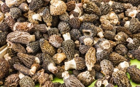 truffe Lidl food