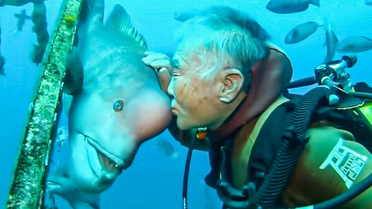 Plongeur Hiroyuki Arakawa