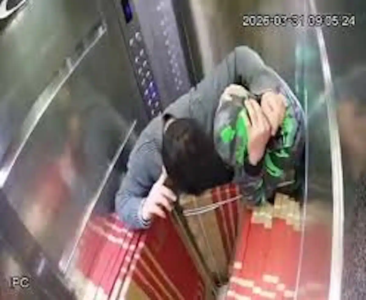 ascenceur beyrouth chute poids