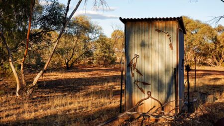 Australie : une mère tombe dans une fosse septique et passe trois heures coincée dans les excréments