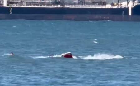 baleine