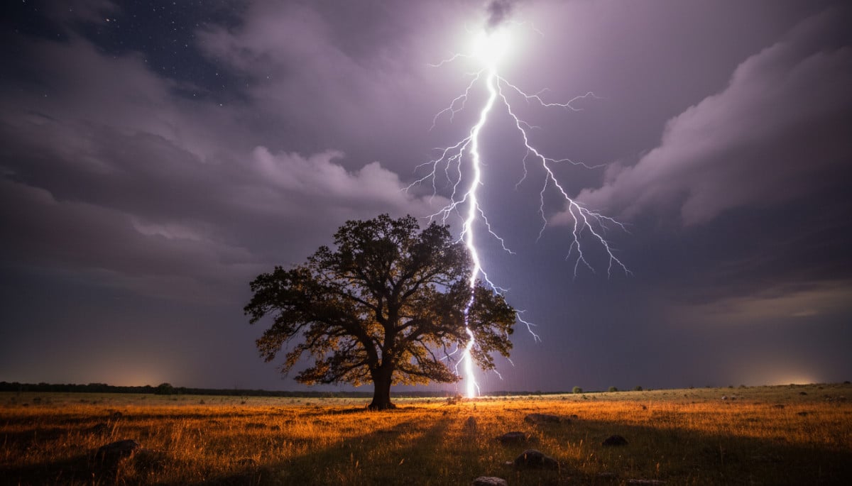 Éclair spectaculaire frappant un arbre isolé la nuit