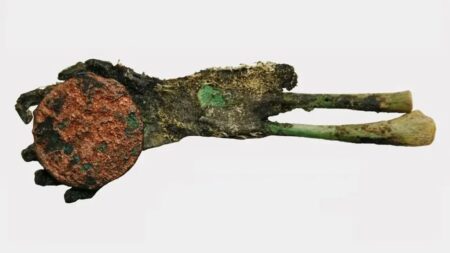 Hongrie : un nourrisson de 150 ans retrouvé intact alors que tous les corps autour avaient disparu