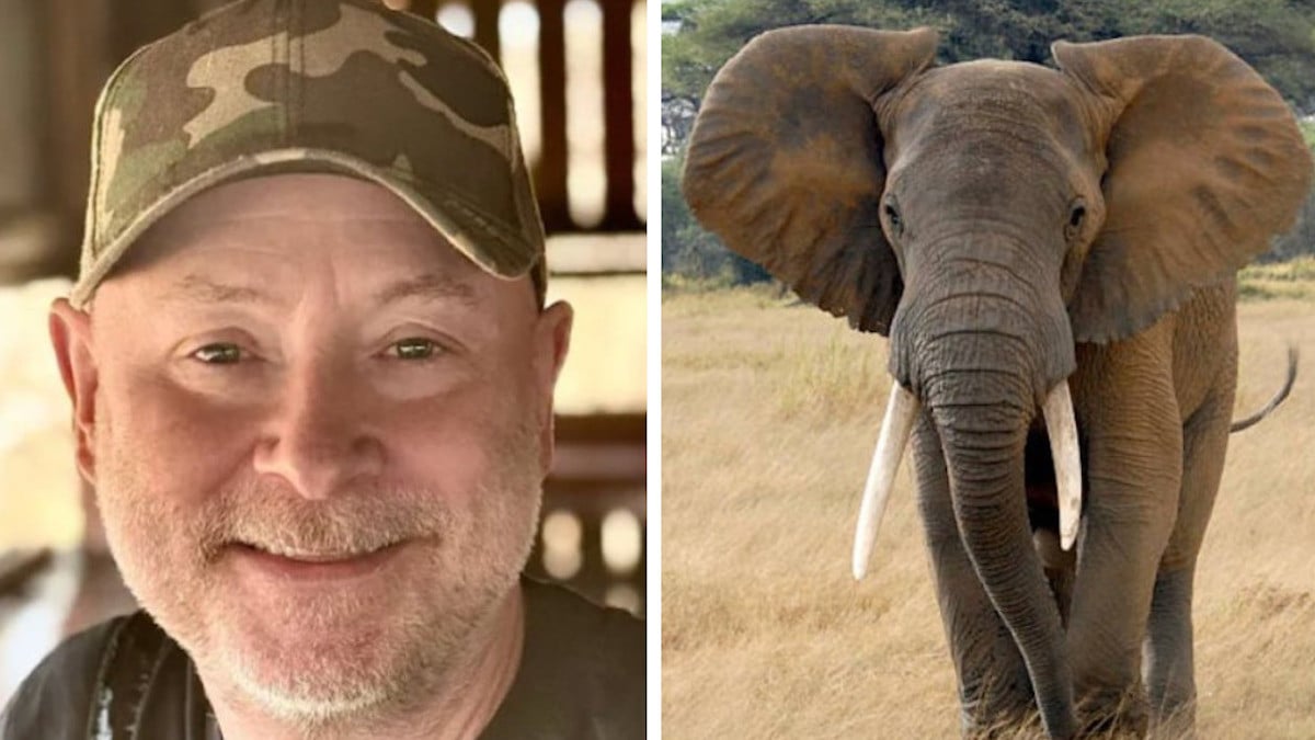 « Il préférait être tué par un éléphant que d'en abattre un » : la phrase prémonitoire d'un guide de safari sud-africain