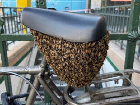 velo essaim abeilles paris - copie