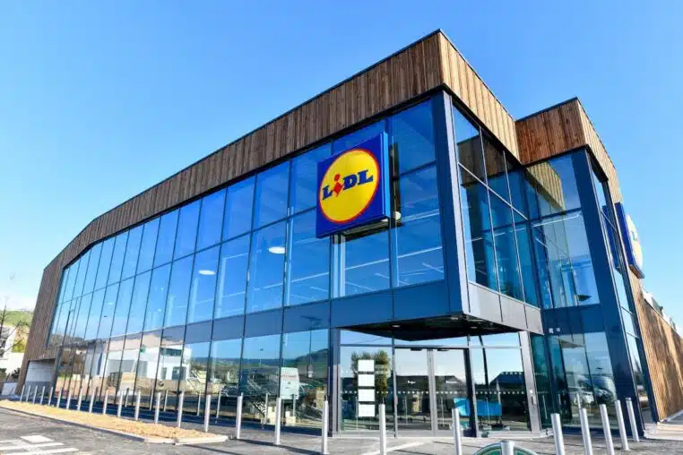 Piscine, tapis rafraichissant - Lidl dévoile des accessoires pour chien parfaits pour l'été