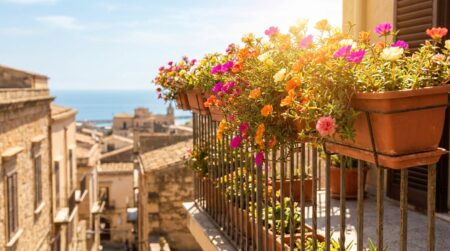 Balcon ensoleillé couvert de portulacas colorées en jardinières