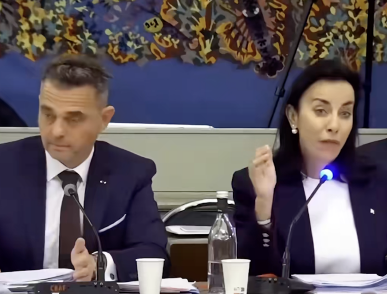 Alexandra Masson, Maire RN de Menton, recadre Louis Sarkozy  lors du dernier conseil municipal Mentonnais (vidéo)