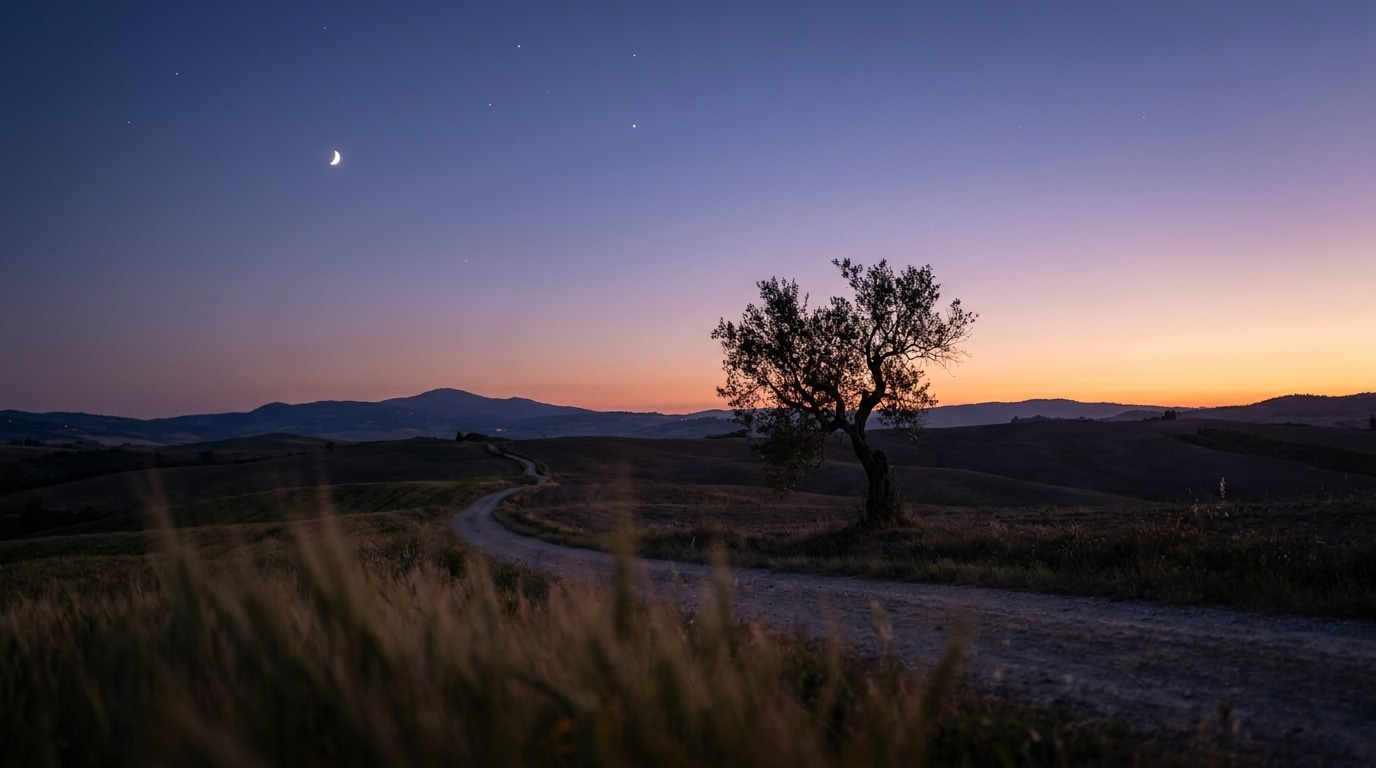 Ciel crépusculaire étoilé au-dessus d'un paysage de campagne