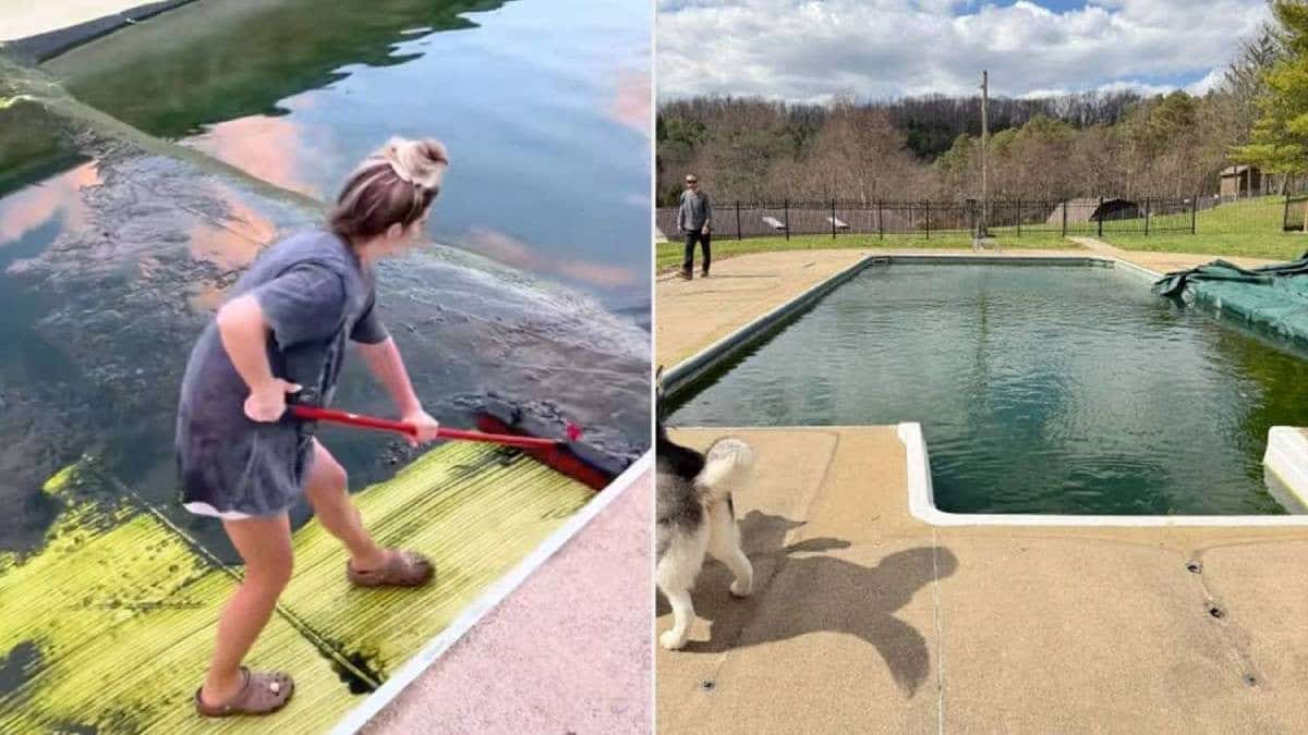 Ils soulèvent la bâche de leur piscine abandonnée depuis 4 ans… et déboursent 9 400 € pour effacer ce qu'ils découvrent