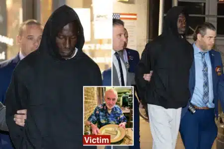 New York : libéré d'un hôpital psychiatrique en une heure, il tue un retraité de 76 ans dans le métro