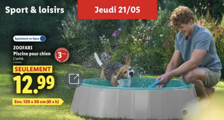 piscine chien lidl