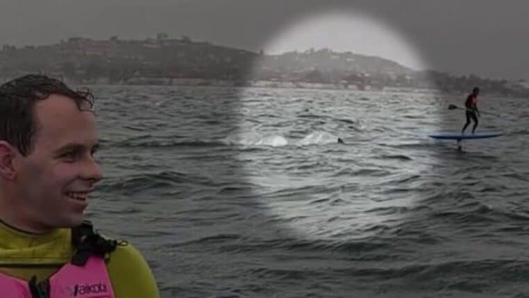 surfeur poursuivit par un grand requin blanc