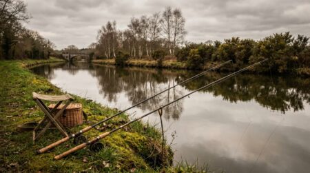 Cannes à pêche posées sur une berge de rivière bretonne