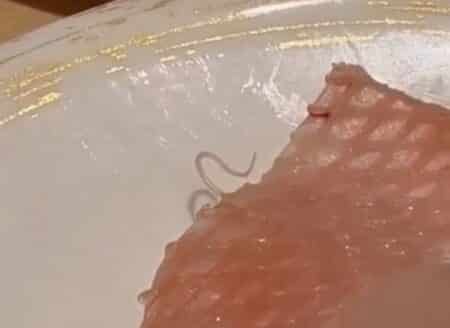 ver sashimi
