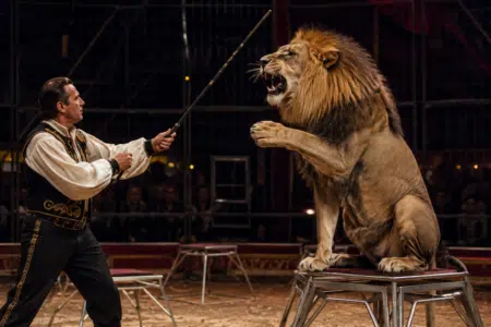 blague dompteur lion