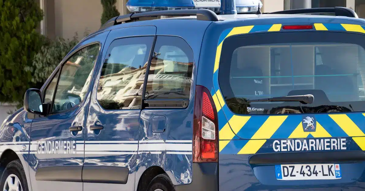 « C'est la révolution ! » : un octogénaire de 82 ans tire sur des gendarmes, convaincu que Macron a été destitué
