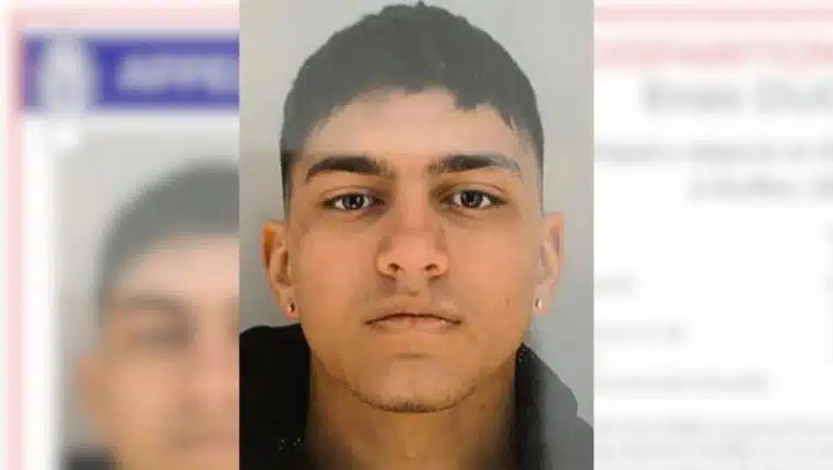 disparition enzo