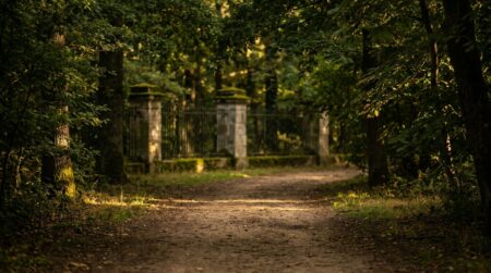 Sentier boisé ombragé dans un parc urbain breton