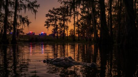 Marécage de Louisiane la nuit avec yeux d'alligator à la surface