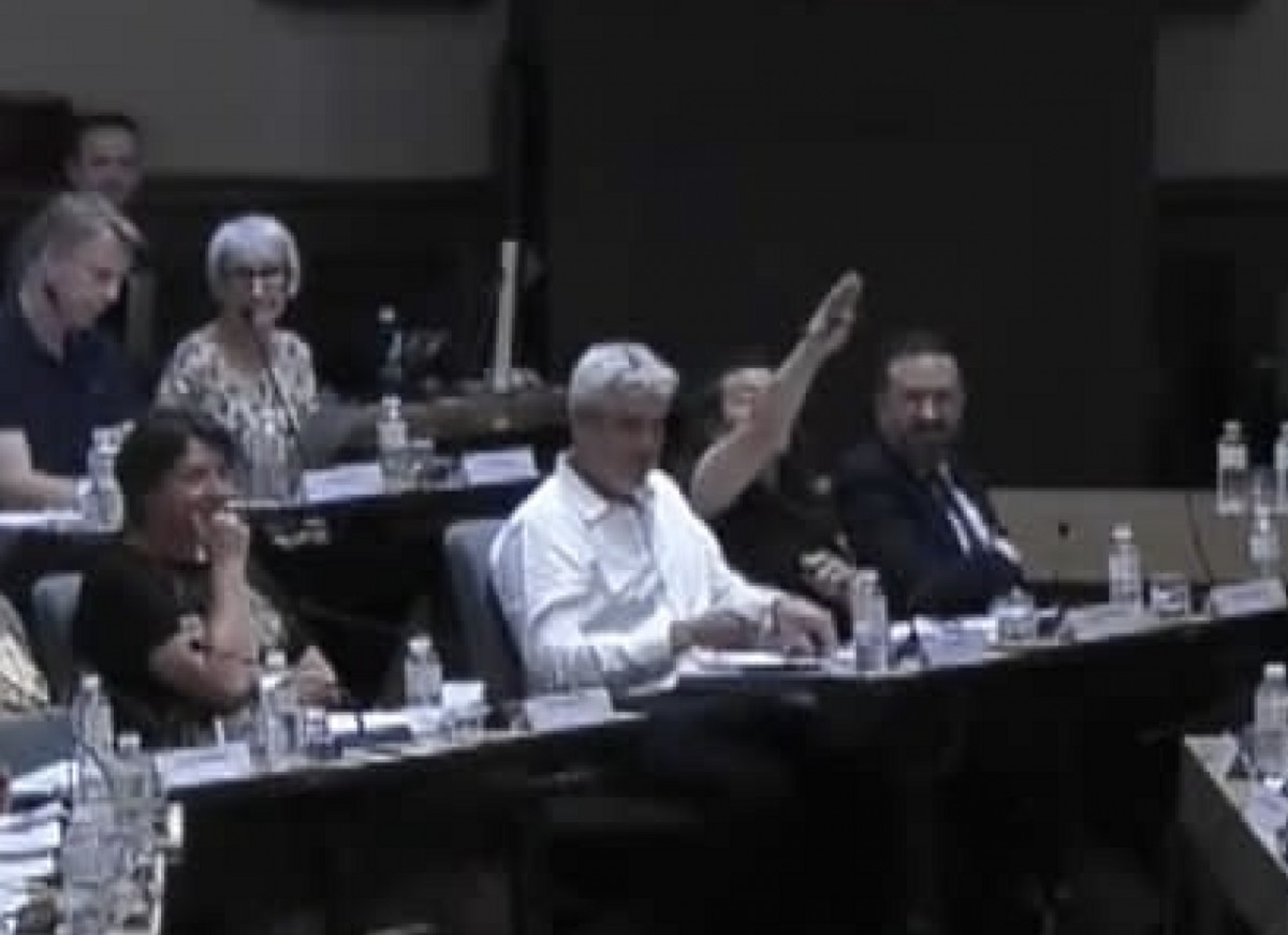 « Salut nazi » en plein conseil municipal : le geste d'une élue de Perpignan qui pousse le maire à saisir le procureur