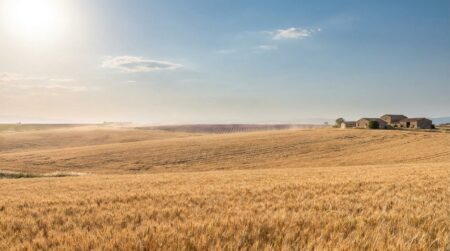 Paysage du sud de la France sous un soleil brûlant