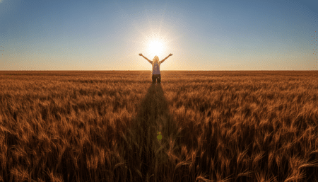 Personne dans un champ de blé doré au solstice d'été