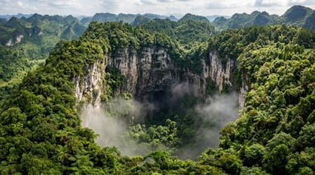 Vue aérienne du gouffre géant recouvert de végétation dense