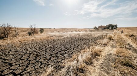 Champ agricole français craquelé sous la chaleur intense