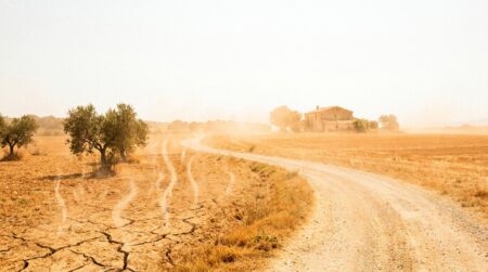 Paysage français desséché sous une chaleur écrasante d'été