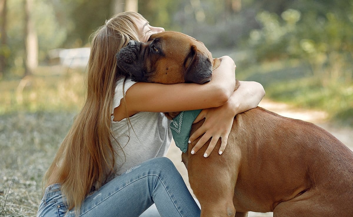 Ce geste tout simple que Harvard et Oxford valident scientifiquement pour dire « je t'aime » à votre chien