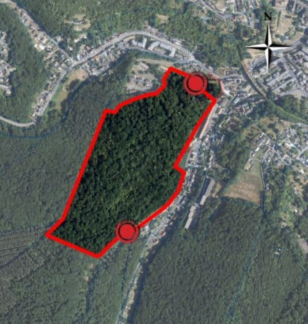 Cette forêt près de Rouen sera interdite à tout le monde pendant 30 ans, et la raison va vous surprendre