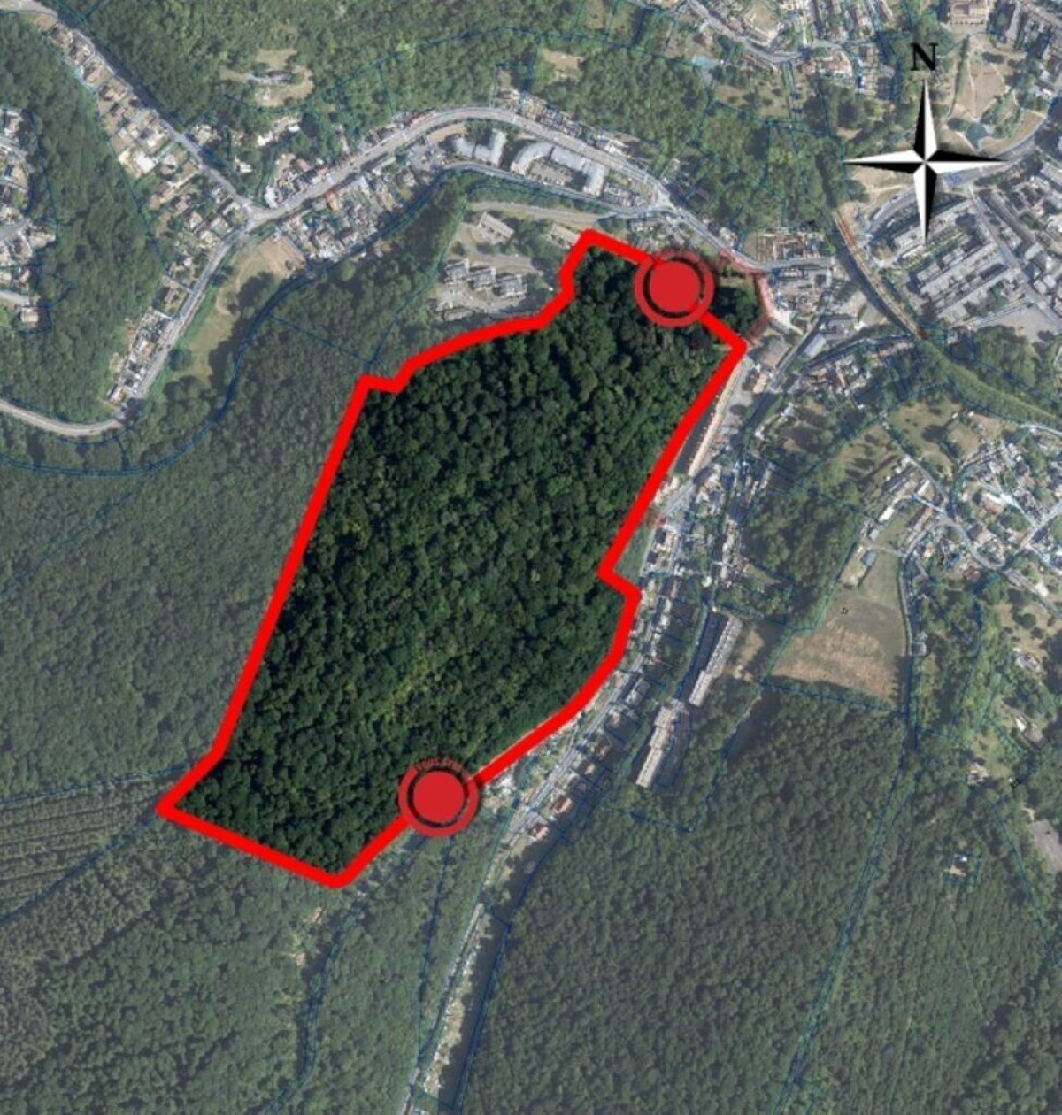 Cette forêt près de Rouen sera interdite à tout le monde pendant 30 ans, et la raison va vous surprendre