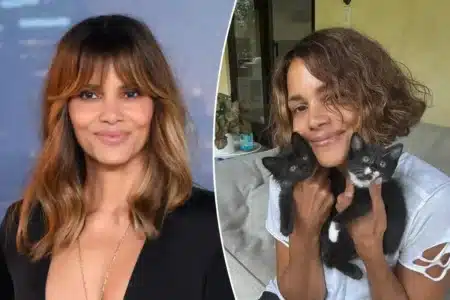 « Des lames de rasoir dans le vagin » : Halle Berry raconte sa périménopause et son diagnostic d'herpès faux à 90%