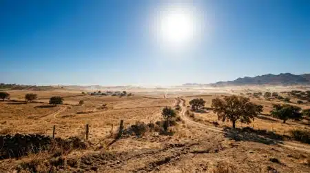 Paysage rural portugais écrasé par la chaleur intense