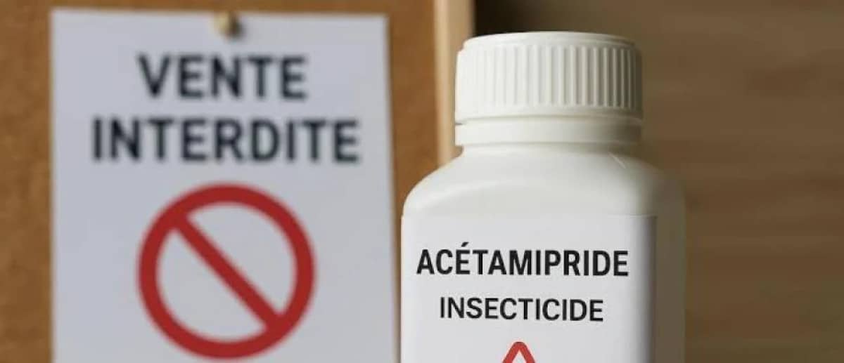 Néonicotinoïdes : l'Assemblée rétablit en pleine nuit un insecticide interdit depuis 2018
