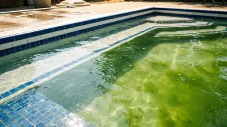 Eau de piscine trouble virant au vert sous le soleil