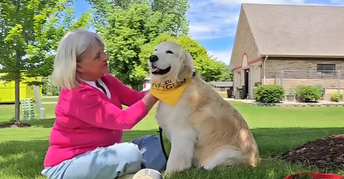 Sauvée d'une usine à chiots, cette Golden Retriever détecte les crises d'Alzheimer de sa maîtresse la nuit