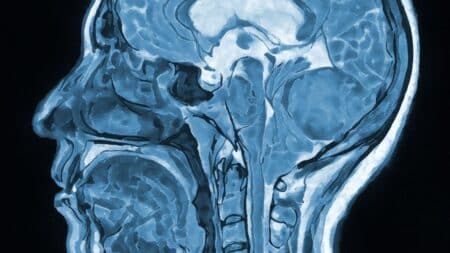Une seule fois suffit : ce que la cocaïne fait au cerveau selon une étude qui inquiète les scientifiques