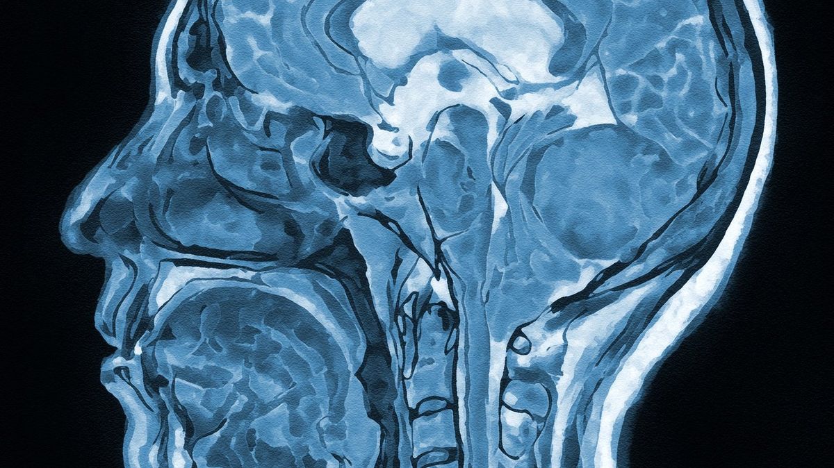 Une seule fois suffit : ce que la cocaïne fait au cerveau selon une étude qui inquiète les scientifiques