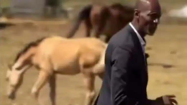 Bally Bagayoko soupçonne un cheval de racisme (vidéo)