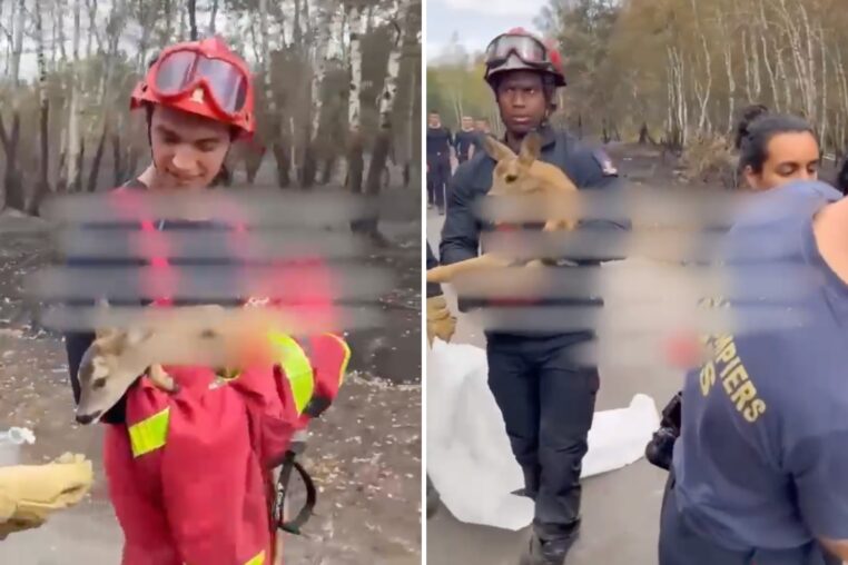 pompiers
