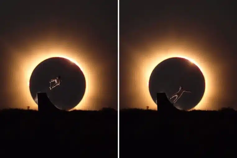 Skate x Éclipse