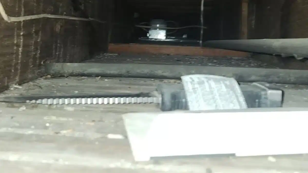 Elle cherche son chat dans sa cave et tombe sur un couteau et une lettre d'amour glaçante