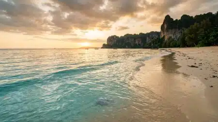 Méduse translucide flottant près du rivage tropical