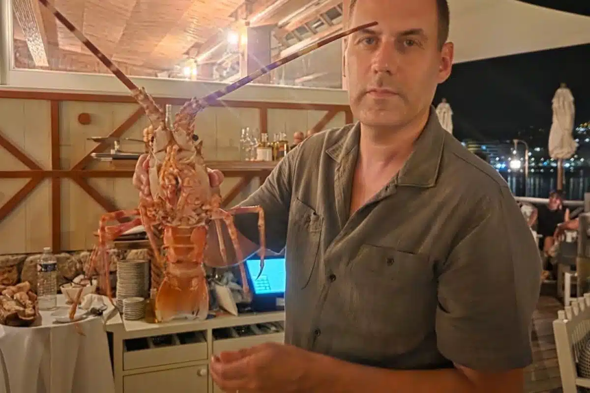 « Je lui ai laissé une seconde chance » : il paie 300 € une langouste au restaurant... pour la sauver