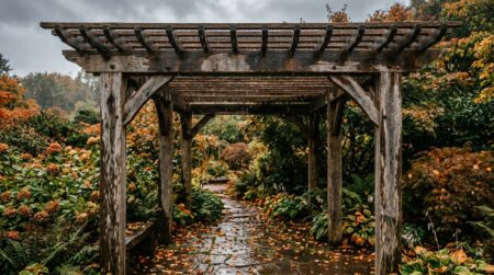 Pergola en bois tachée par la pluie d'automne