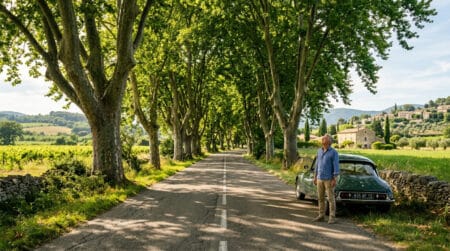 Route de campagne française bordée de platanes centenaires